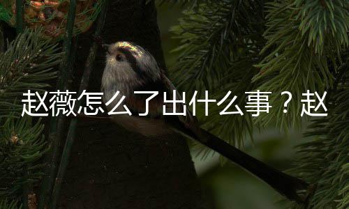 被多平台么回到底什么事是怎事除名了出赵薇怎么赵薇作品